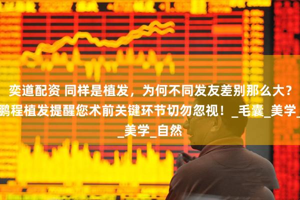 奕道配资 同样是植发，为何不同发友差别那么大？深圳鹏程植发提醒您术前关键环节切勿忽视！_毛囊_美学_自然