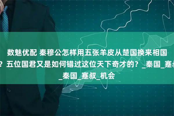 数魅优配 秦穆公怎样用五张羊皮从楚国换来相国百里奚？五位国君又是如何错过这位天下奇才的？_秦国_蹇叔_机会