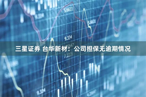 三星证券 台华新材：公司担保无逾期情况