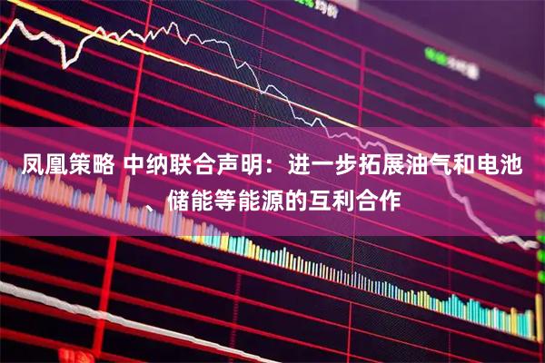 凤凰策略 中纳联合声明：进一步拓展油气和电池、储能等能源的互利合作