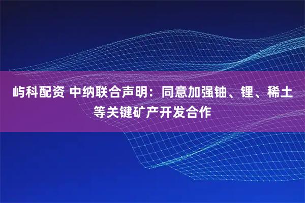 屿科配资 中纳联合声明：同意加强铀、锂、稀土等关键矿产开发合作